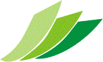 logo_green_okm